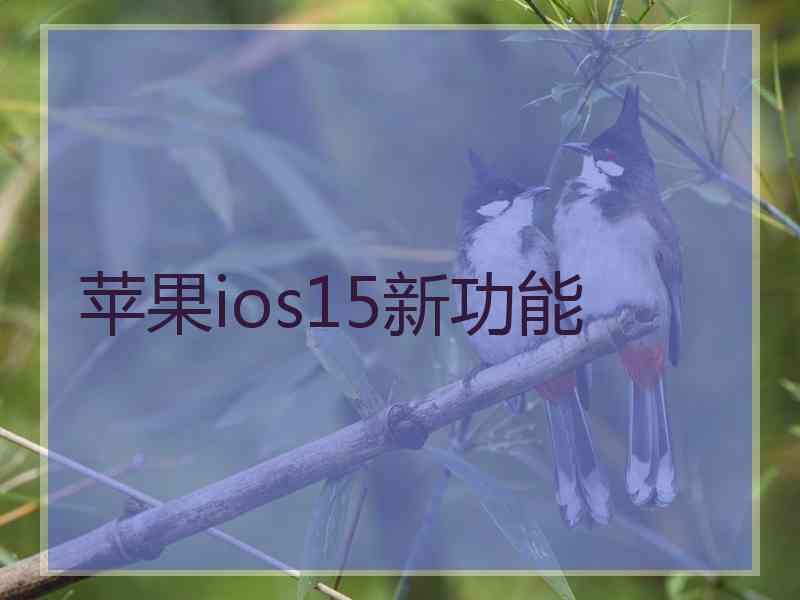 苹果ios15新功能