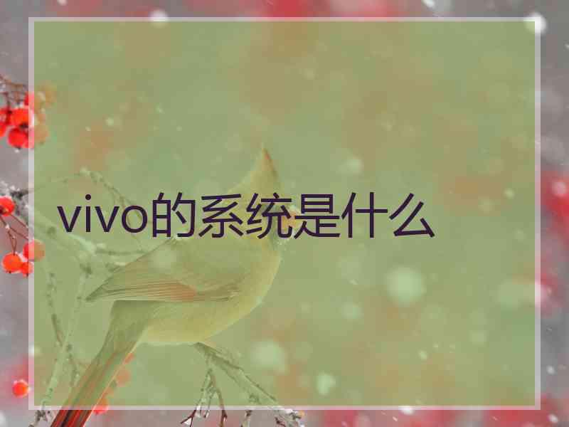 vivo的系统是什么