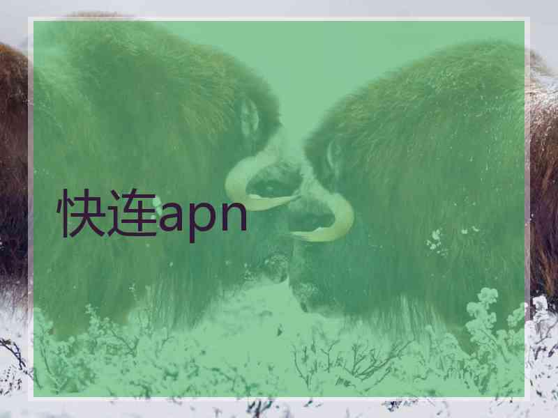 快连apn