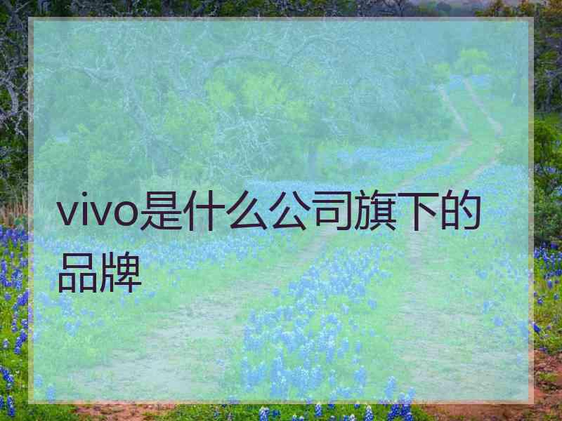 vivo是什么公司旗下的品牌