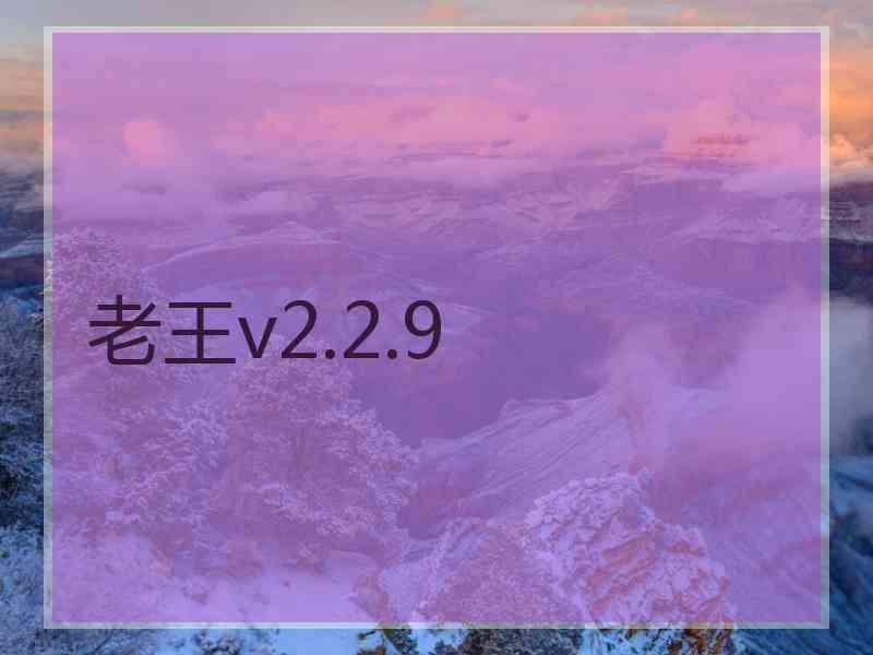 老王v2.2.9