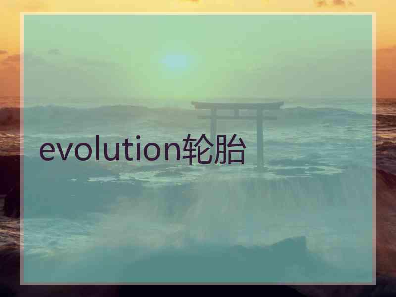 evolution轮胎