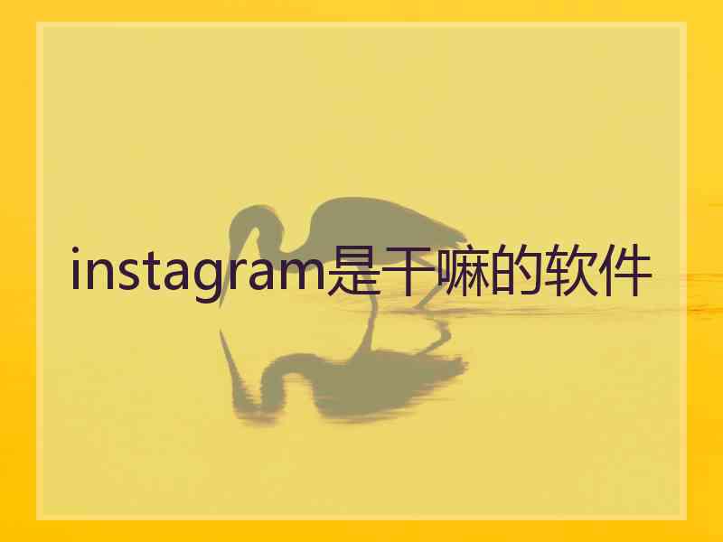 instagram是干嘛的软件