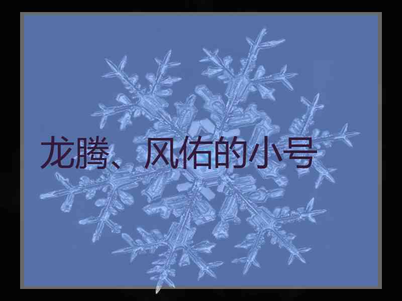 龙腾、风佑的小号