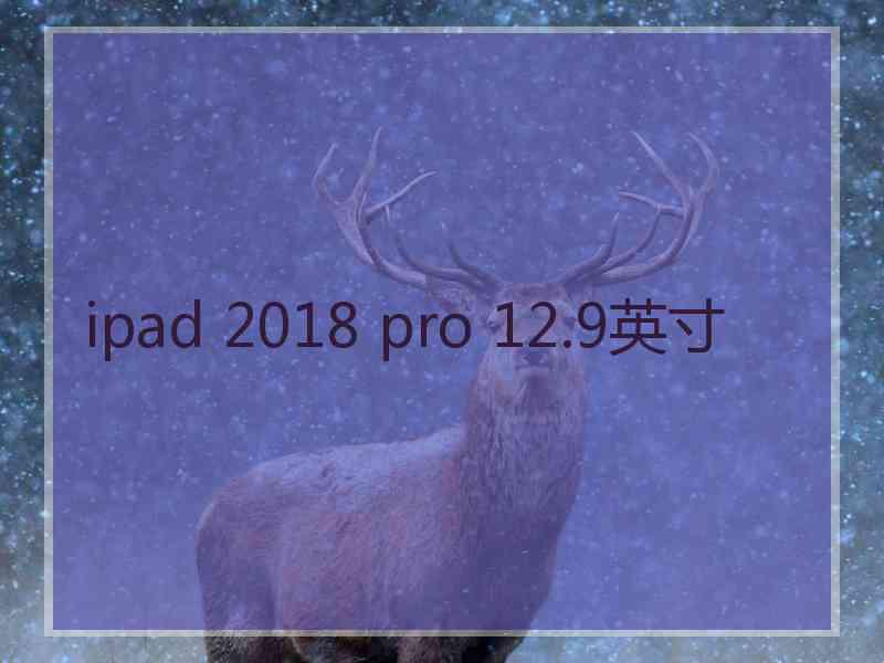 ipad 2018 pro 12.9英寸