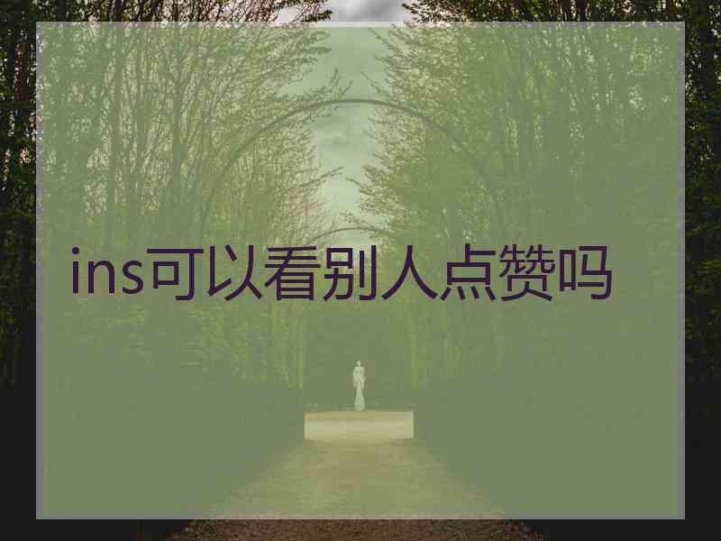 ins可以看别人点赞吗