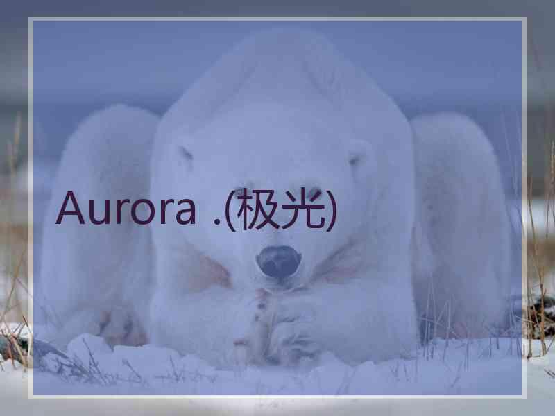 Aurora .(极光)