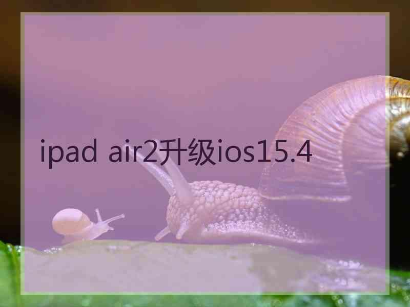 ipad air2升级ios15.4