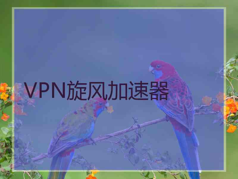 VPN旋风加速器