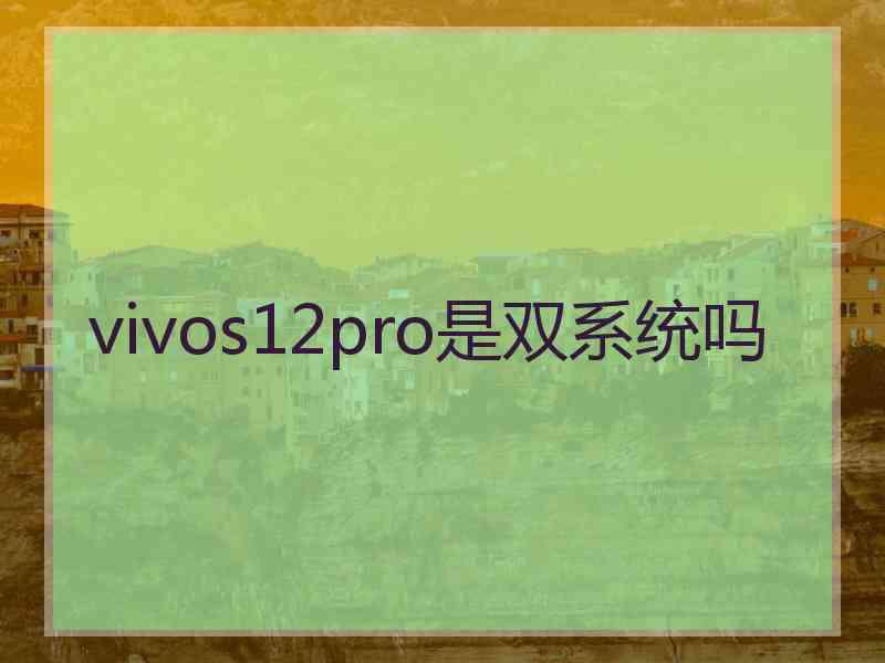 vivos12pro是双系统吗