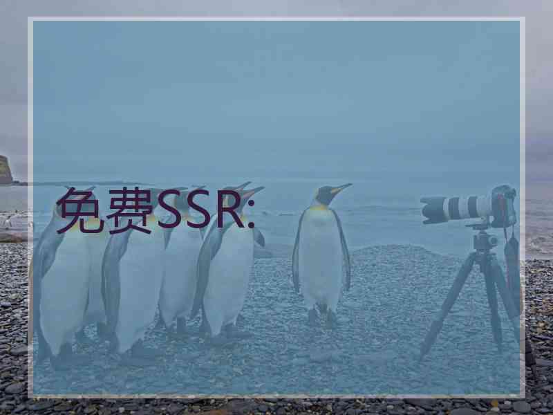 免费SSR: