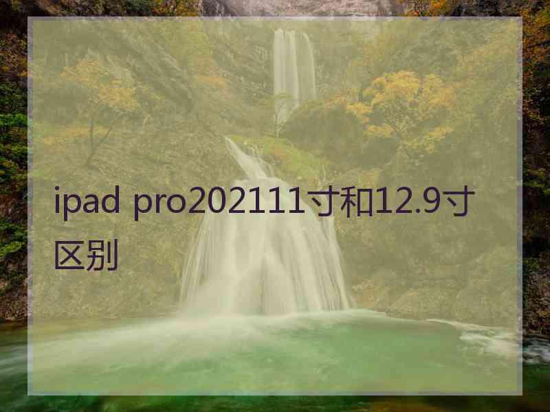 ipad pro202111寸和12.9寸区别