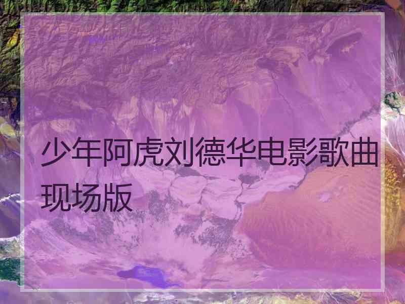 少年阿虎刘德华电影歌曲现场版