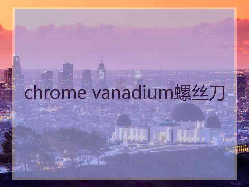 chrome vanadium螺丝刀