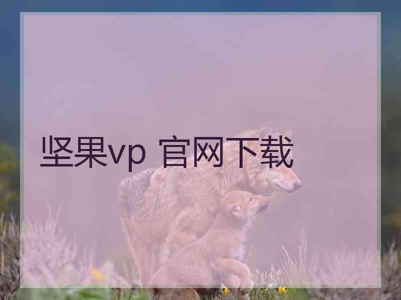 坚果vp 官网下载