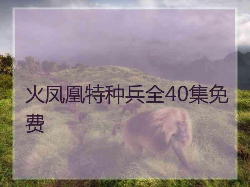 火凤凰特种兵全40集免费