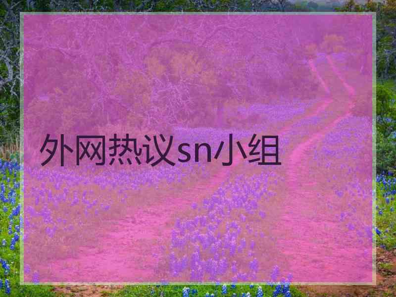 外网热议sn小组