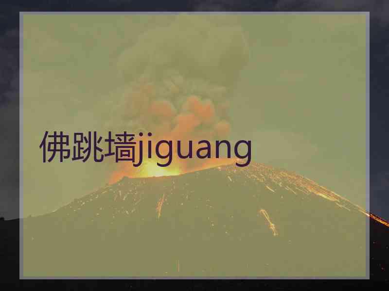 佛跳墙jiguang