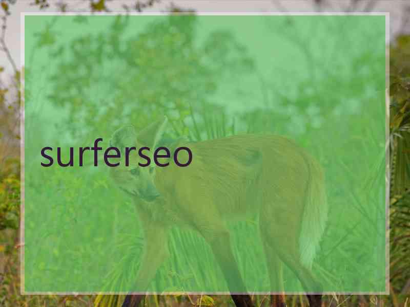 surferseo