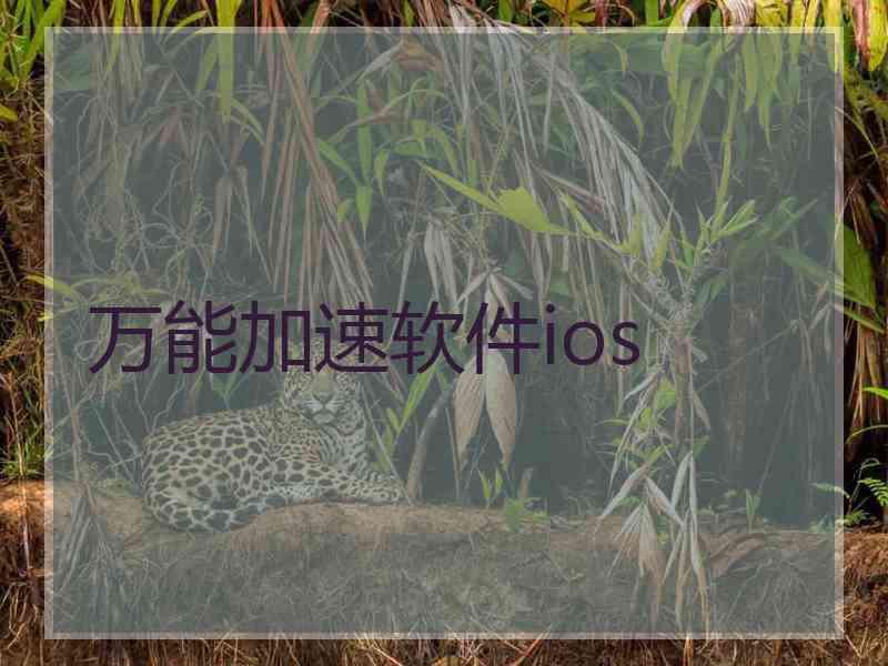 万能加速软件ios