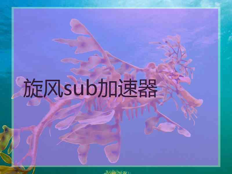 旋风sub加速器