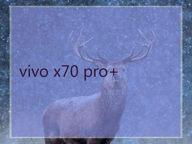 vivo x70 pro+