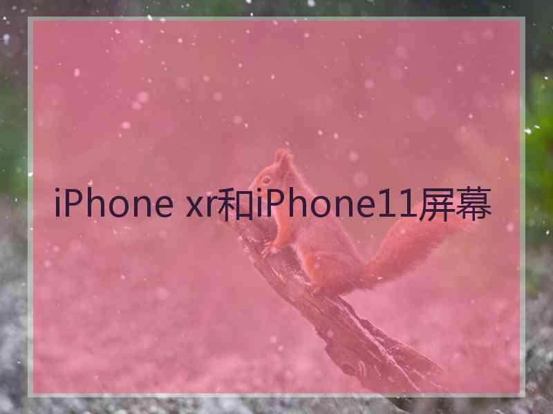 iPhone xr和iPhone11屏幕