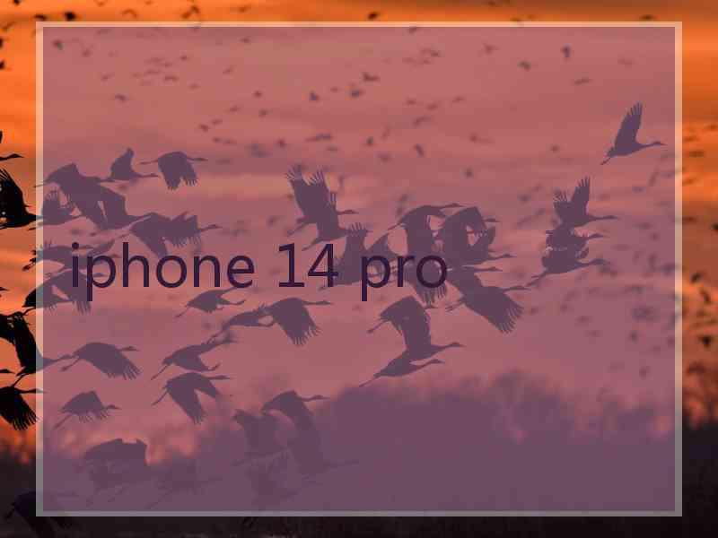 iphone 14 pro