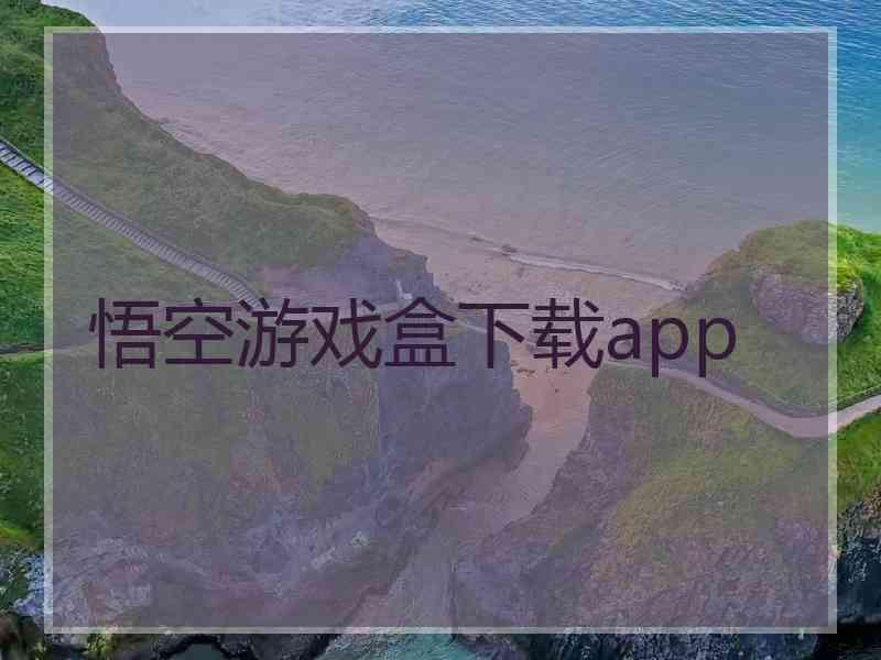 悟空游戏盒下载app