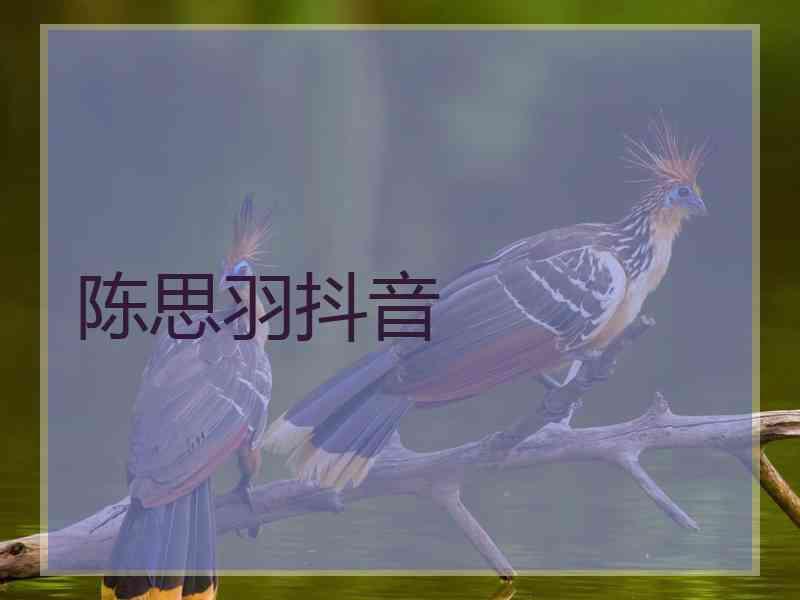 陈思羽抖音