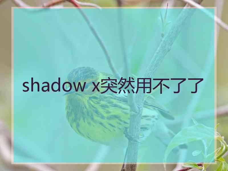 shadow x突然用不了了