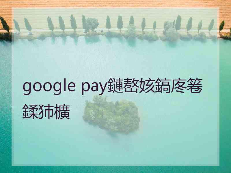 google pay鏈嶅姟鎬庝箞鍒犻櫎