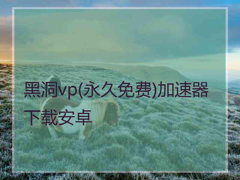 黑洞vp(永久免费)加速器下载安卓