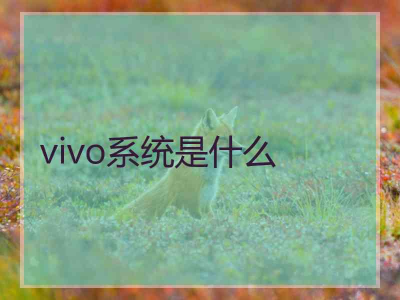 vivo系统是什么