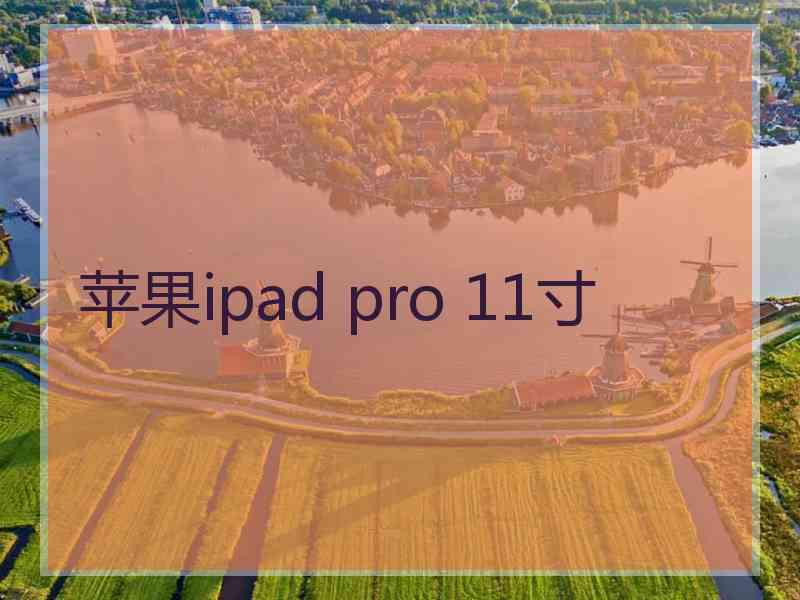 苹果ipad pro 11寸