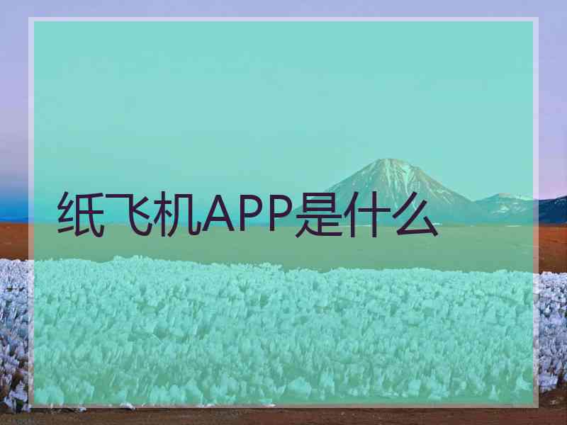 纸飞机APP是什么