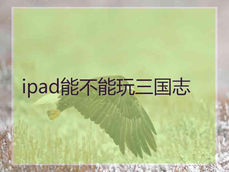 ipad能不能玩三国志