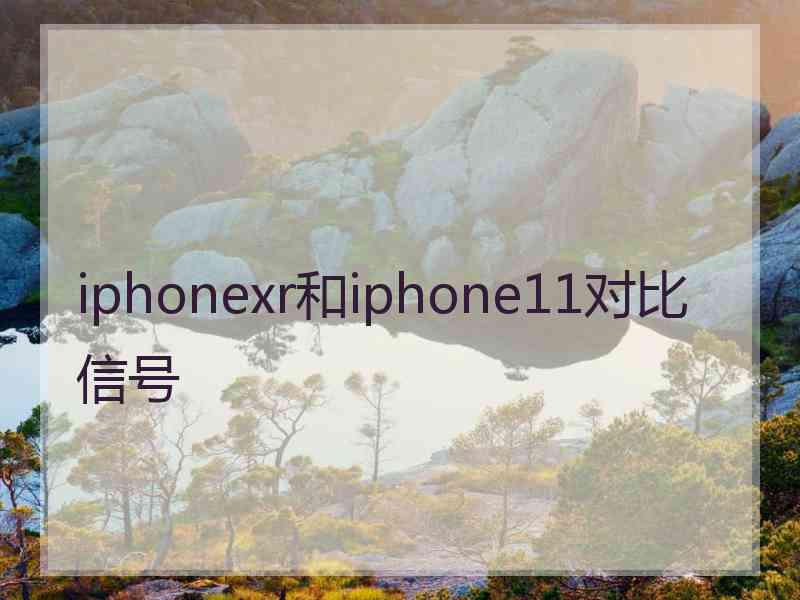 iphonexr和iphone11对比信号