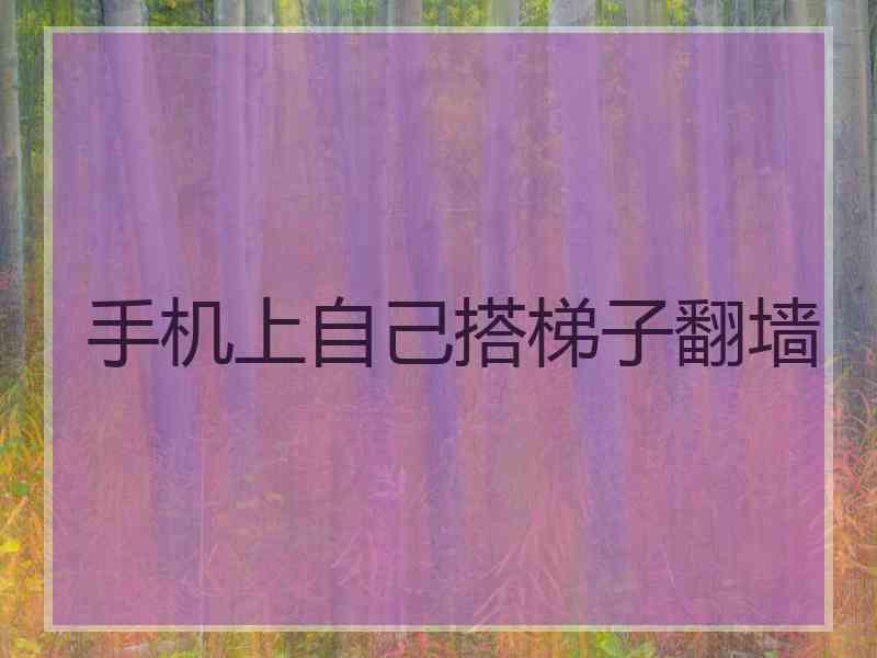 手机上自己搭梯子翻墙