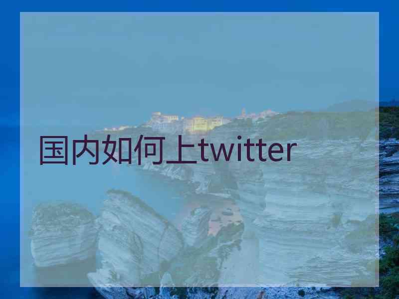 国内如何上twitter