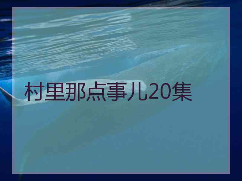 村里那点事儿20集