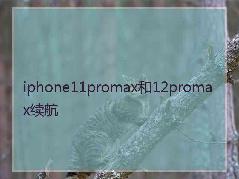 iphone11promax和12promax续航