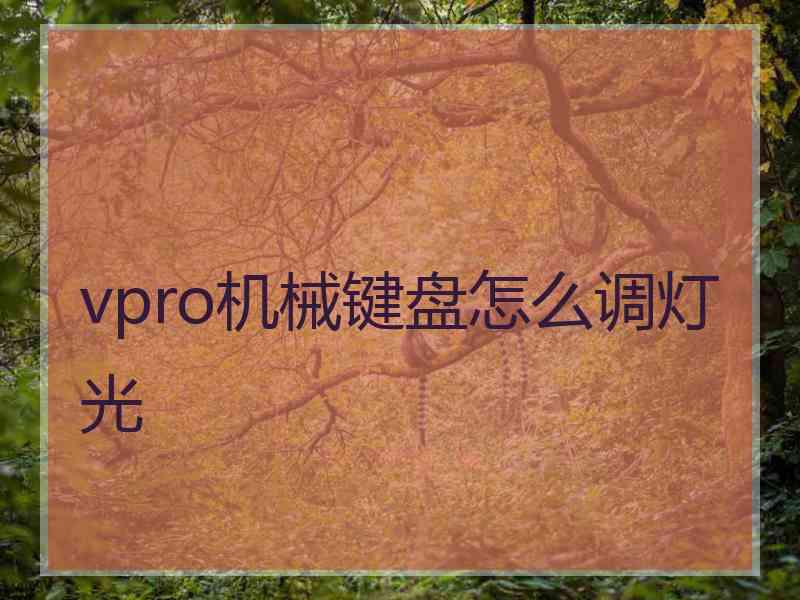 vpro机械键盘怎么调灯光