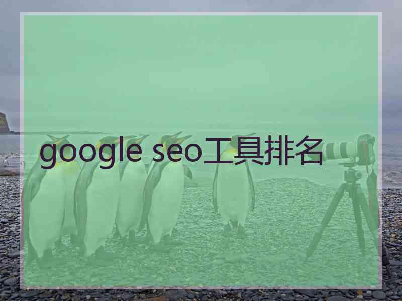 google seo工具排名