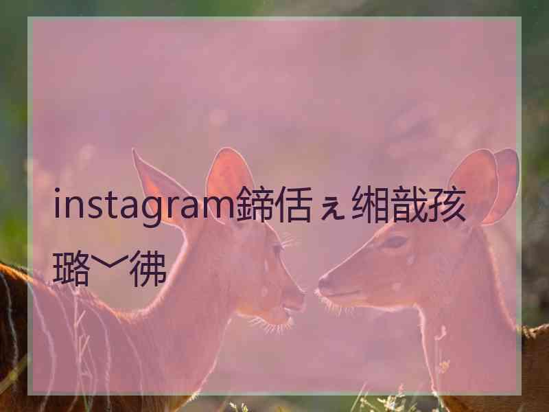 instagram鍗佸ぇ缃戠孩璐﹀彿