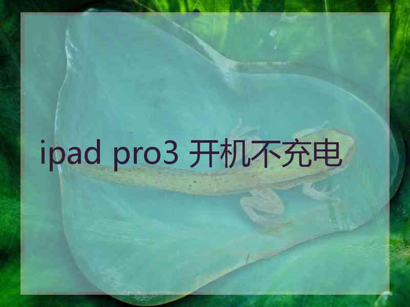 ipad pro3 开机不充电