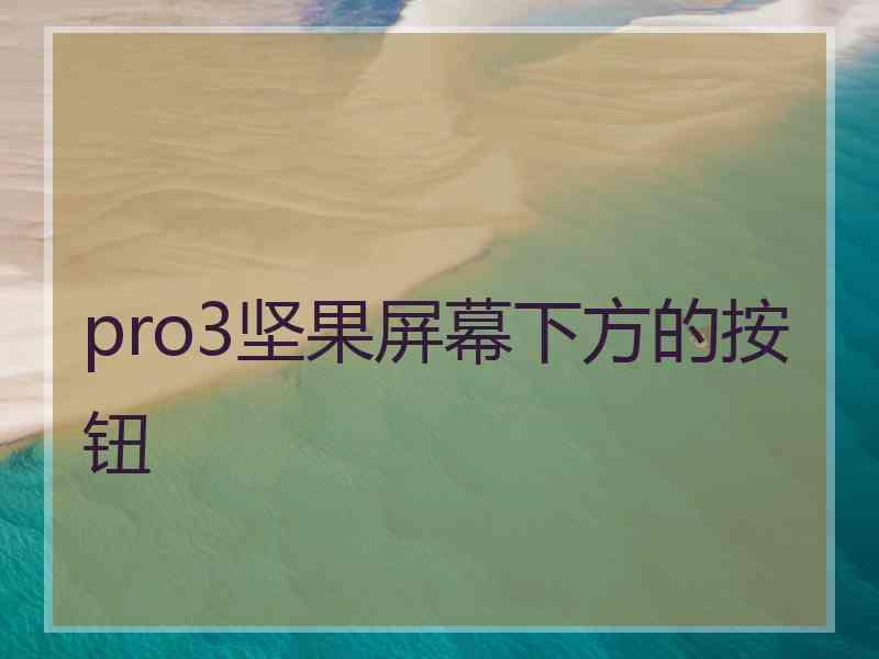 pro3坚果屏幕下方的按钮