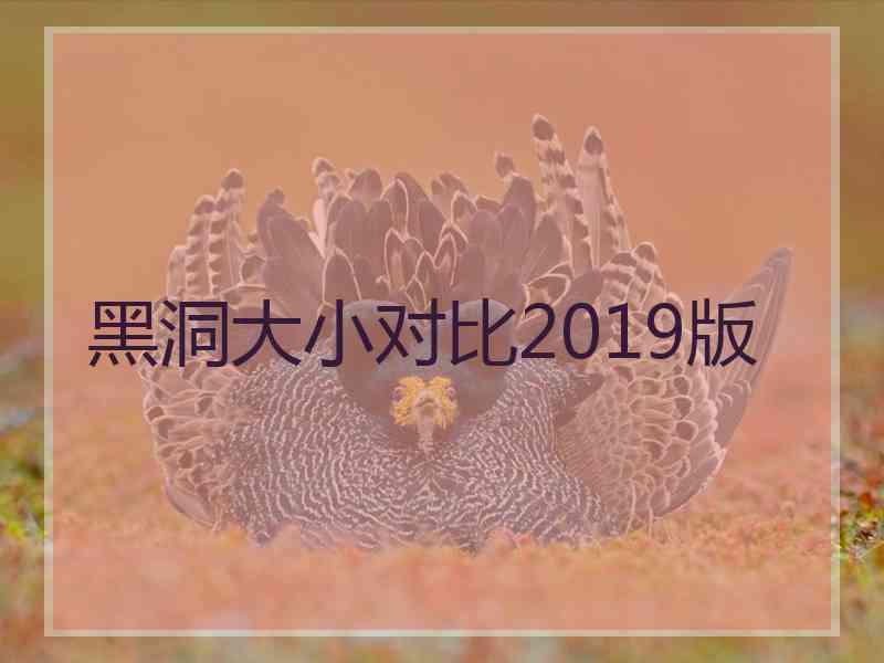 黑洞大小对比2019版