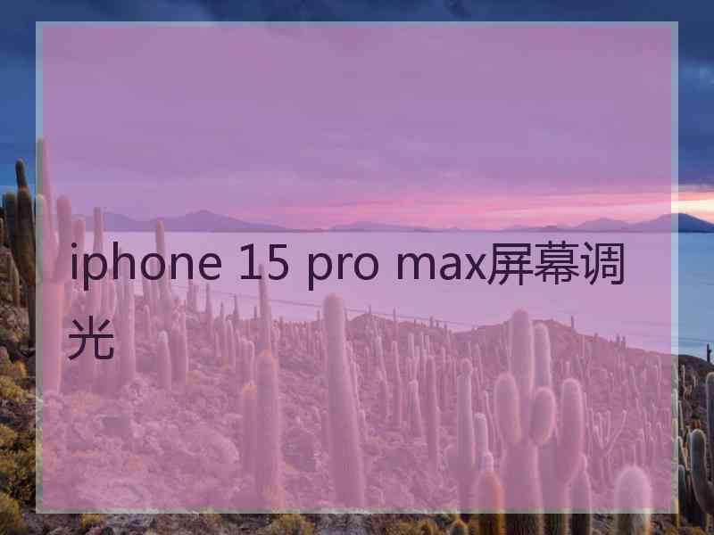 iphone 15 pro max屏幕调光