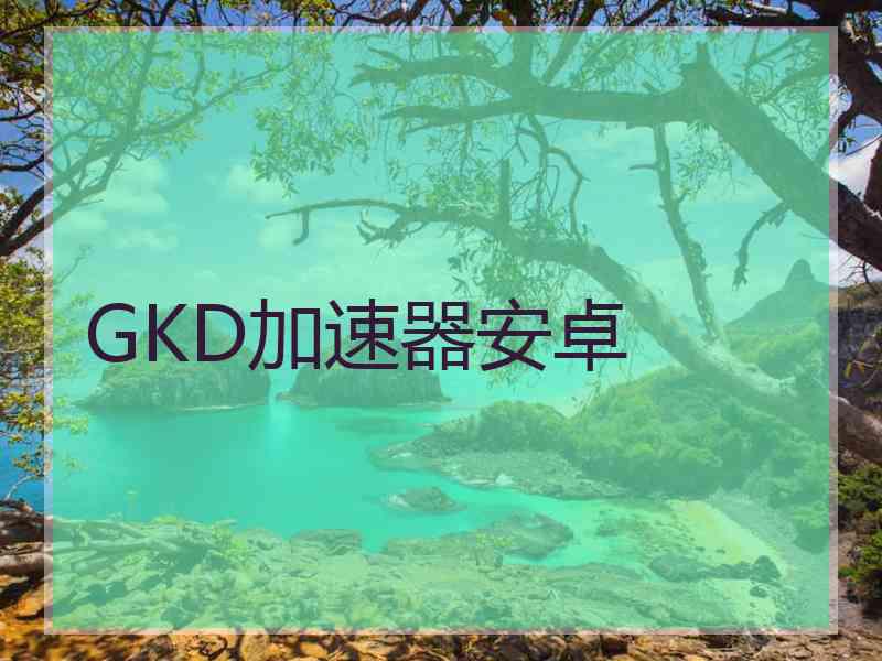 GKD加速器安卓